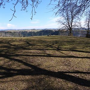 Tierpark Altenfelden - Exhibit for roe deer, Patagonian mara and red-necked wallaby