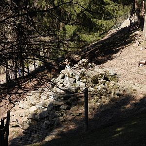 Tierpark Altenfelden - Creatan wild goat exhibit