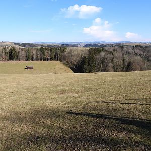 Tierpark Altenfelden - Fallow deer exhibit