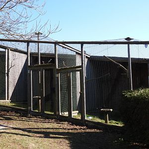Tierpark Altenfelden - Aviary for Common & American kestrel