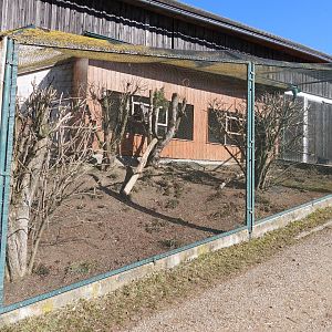 Tierpark Altenfelden - Phesantary