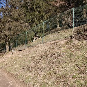 Tierpark Altenfelden - Red and silver fox exhibit