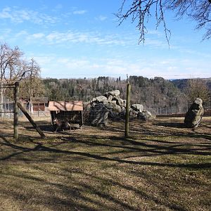 Tierpark Altenfelden - Chamois exhibit