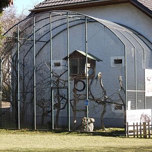 Tierpark Altenfelden - Blue and yellow macaw