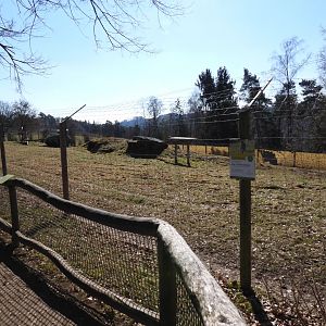 Tierpark Altenfelden - Cheetah exhibit