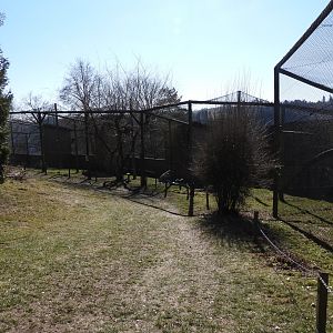Tierpark Altenfelden - Bird of Prey aviaries