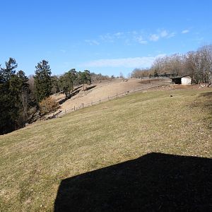 Tierpark Altenfelden - Paddock for Guanaco & Domestig goats