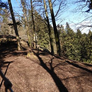 Tierpark Altenfelden - Himalayan thar exhibit