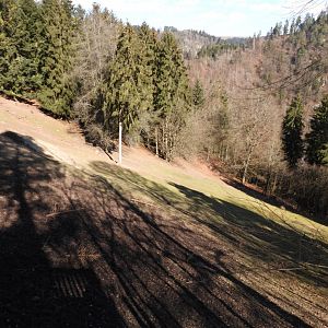 Tierpark Altenfelden - Himalayan thar exhibit