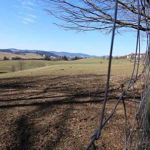 Tierpark Altenfelden - Paddock for Sambar deer & Altai wapiti
