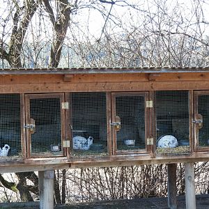 Tierpark Altenfelden - Rabbit cages