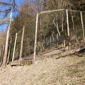 Tierpark Altenfelden - Lynx exhibit