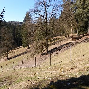 Tierpark Altenfelden - Exhibit for Mouflons