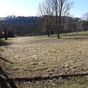 Tierpark Altenfelden - Exhibit for Reeves muntjac