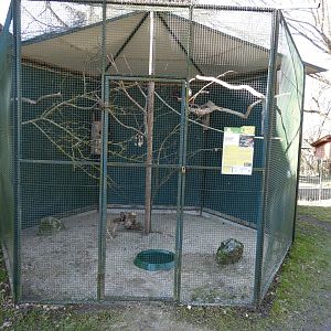 Tierpark Altenfelden - Aviary for crimson rosella
