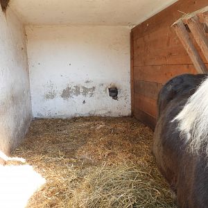 Tierpark Altenfelden - One of the horse stables