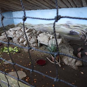Tierpark Altenfelden - Tortoise exhibit