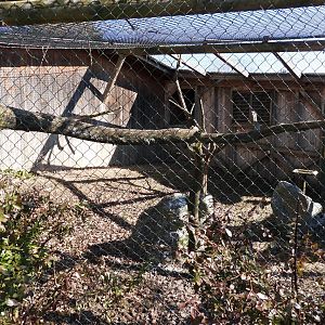 Tierpark Altenfelden - Snowy owl aviary