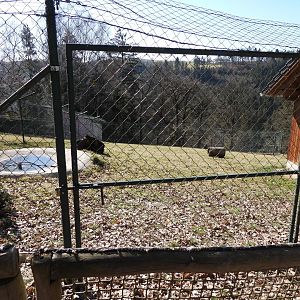 Tierpark Altenfelden - Serval exhibit