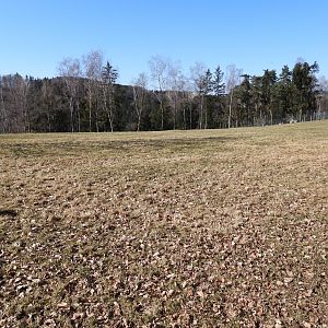 Tierpark Altenfelden - Wapiti/Elk exhibit