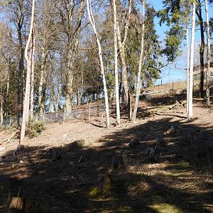 Tierpark Altenfelden - Wolf exhibit