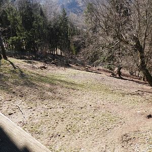 Tierpark Altenfelden - Wolf exhibit