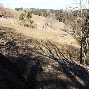 Tierpark Altenfelden - Chapman's zebra exhibit