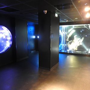 New area for Jellyfish