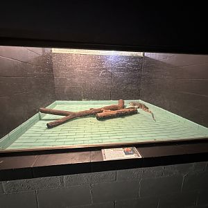 Nov. 2025 - Exhibit Hall - Water Monitor Enclosure