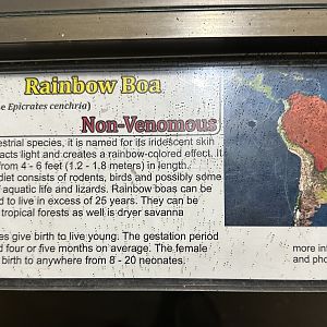 Nov. 2025 - Exhibit Hall - Typical Signage