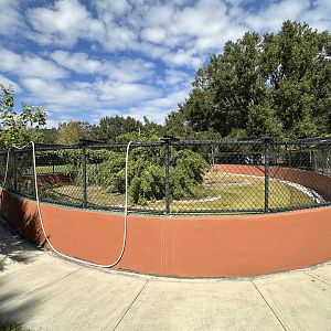 Nov. 2025 - Nile Crocodile Enclosure