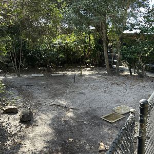 Nov. 2025 - Mixed Chelonian Enclosure