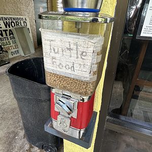 Nov. 2025 - Turtle Food Dispenser