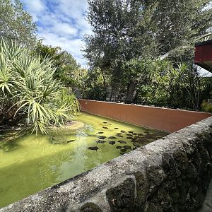 Nov. 2025 - Turtle Pond - Overview (2)
