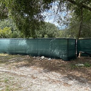 Nov. 2025 - Alligator “Quarantine” Enclosure