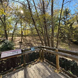 Mexican Grey Wolf Enclosure - Wolf Woods
