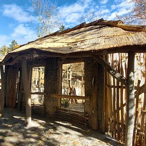 Bamboo lemur outdoor exhibit
