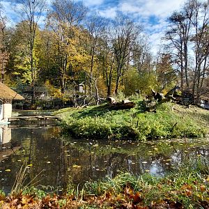Lemur + flamingo outdoor exhibit