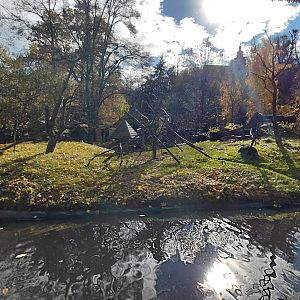 Lemur + flamingo outdoor exhibit