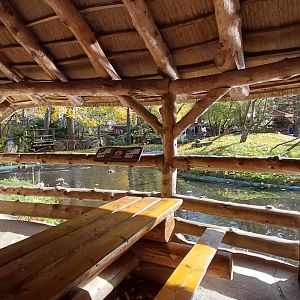 Lemur+flamingo exhibit – viewing area