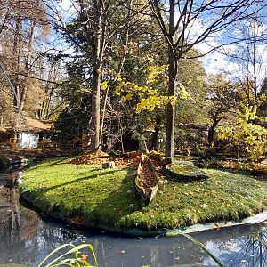 Red-fronted lemur island