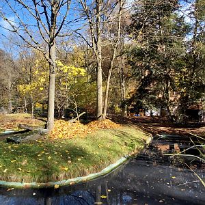 Red-fronted lemur island