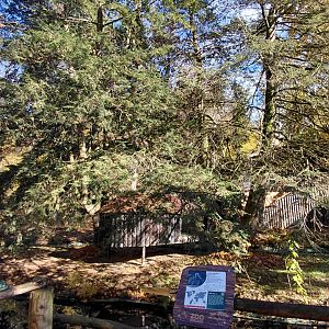 Red-fronted lemur island