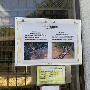 Giraffe Signage (Himeji City Zoo)