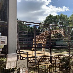 Giraffe Enclosure (Himeji City Zoo)