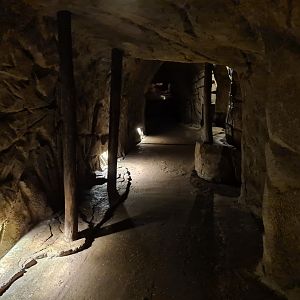 Desert - Mineshaft connecting the Bush and Desert