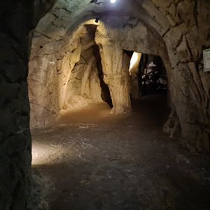 Desert - Cave area connecting the Bush and Desert