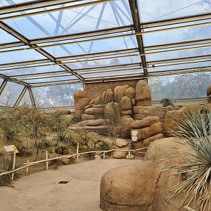 Desert - Roadrunner aviary
