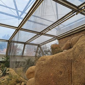 Desert - Roadrunner aviary