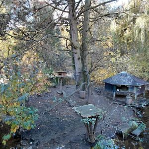 Red-fronted lemur island